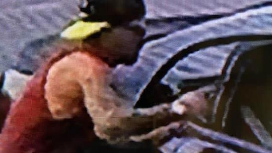 Police search for armed car thief