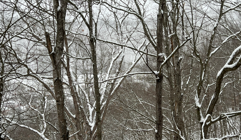 Jones declares state of emergency in response to winter storm