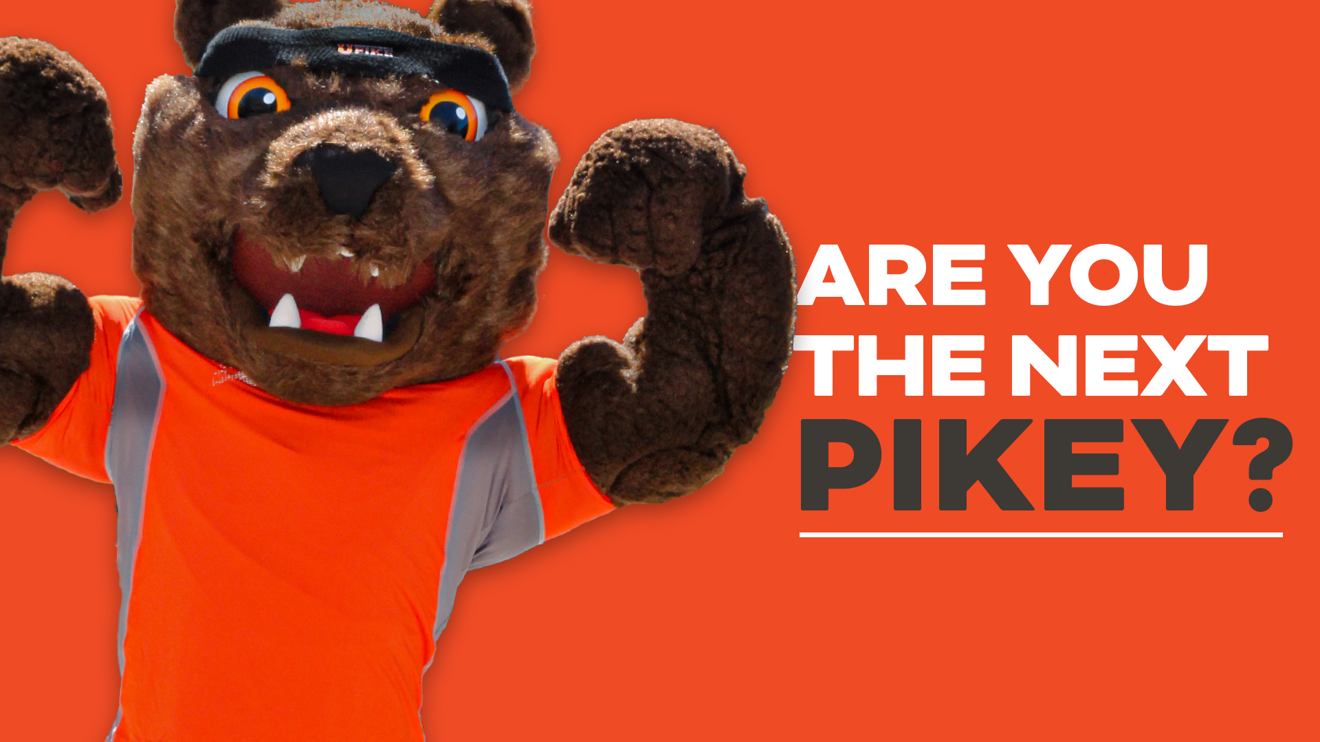 Calling the next UPIKE ‘Pikey’