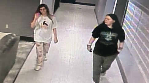 Police searching for missing Pike girls